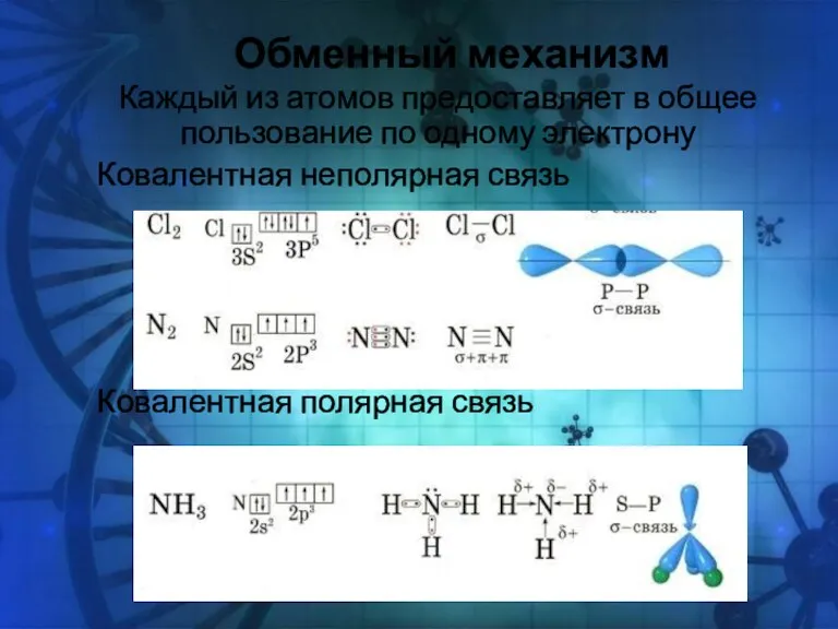 Обменный механизм Каждый из атомов предоставляет в общее пользование по