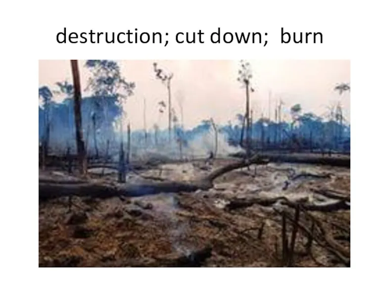 destruction; cut down; burn