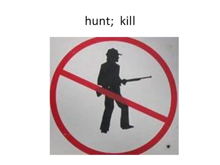 hunt; kill