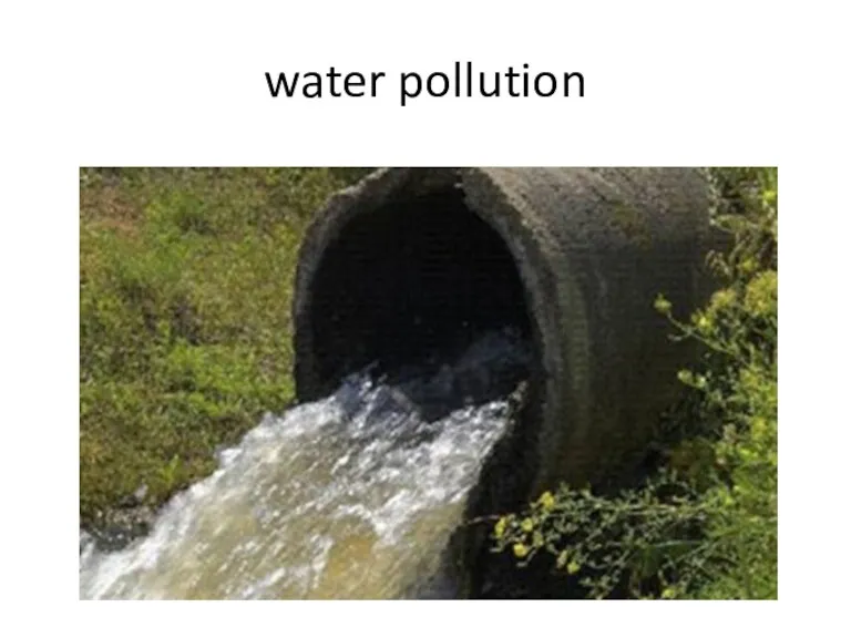 water pollution