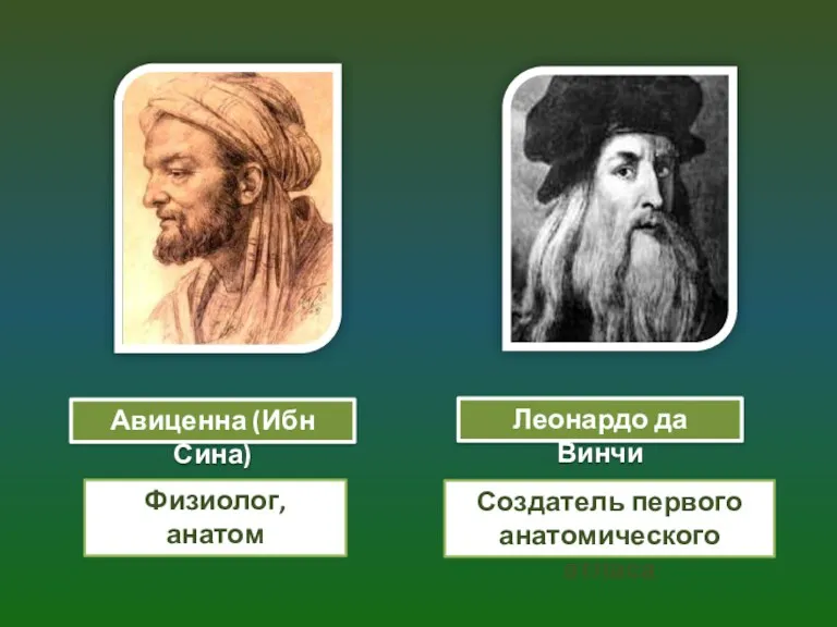 Леонардо да Винчи Физиолог, анатом Создатель первого анатомического атласа Авиценна (Ибн Сина)