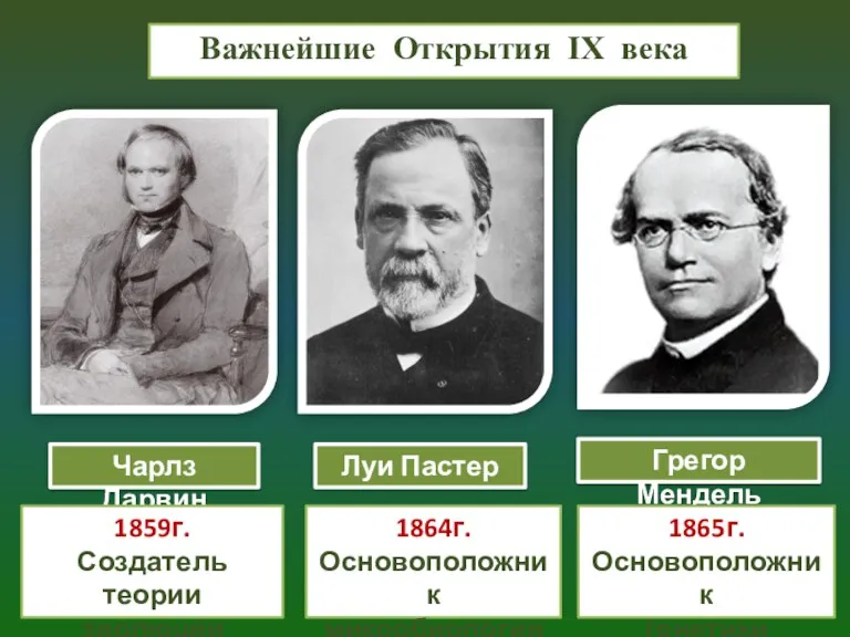 Грегор Мендель Чарлз Дарвин 1859г. Создатель теории эволюции 1865г. Основоположник