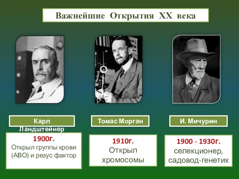 Важнейшие Открытия ХХ века Карл Ландштейнер Томас Морган 1900г. Открыл группы крови (АВО)