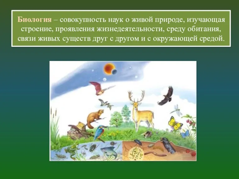 Биология – совокупность наук о живой природе, изучающая строение, проявления