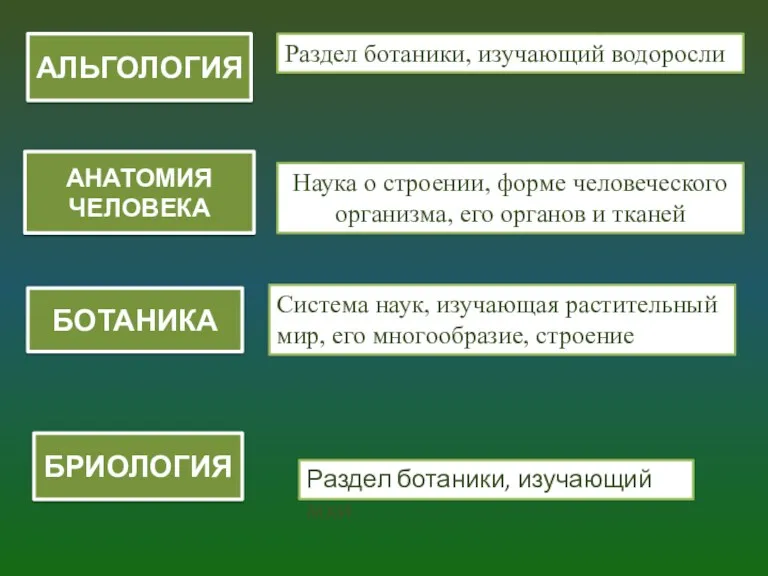 АЛЬГОЛОГИЯ Наука о строении, форме человеческого организма, его органов и