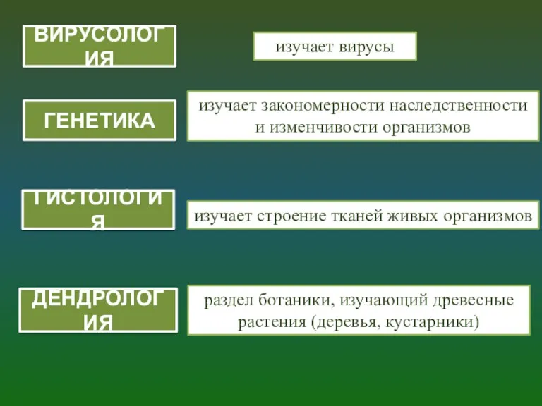 ВИРУСОЛОГИЯ изучает вирусы ГЕНЕТИКА изучает закономерности наследственности и изменчивости организмов