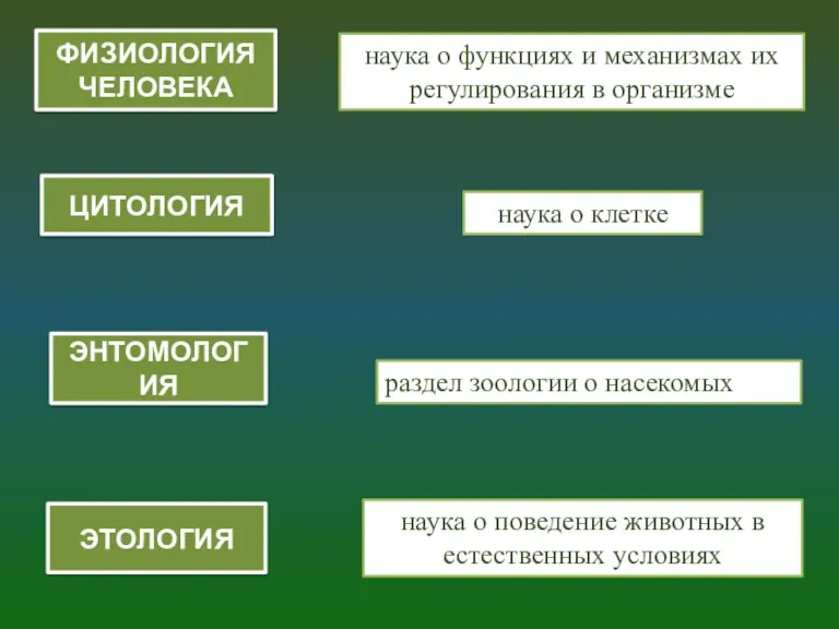 ЦИТОЛОГИЯ наука о клетке ЭТОЛОГИЯ наука о поведение животных в естественных условиях ЭНТОМОЛОГИЯ