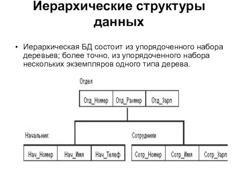 Иерархические структуры данных Иерархическая БД состоит из упорядоченного набора деревьев;