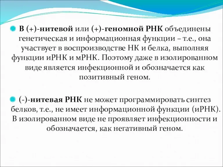 В (+)-нитевой или (+)-геномной РНК объединены генетическая и информационная функции