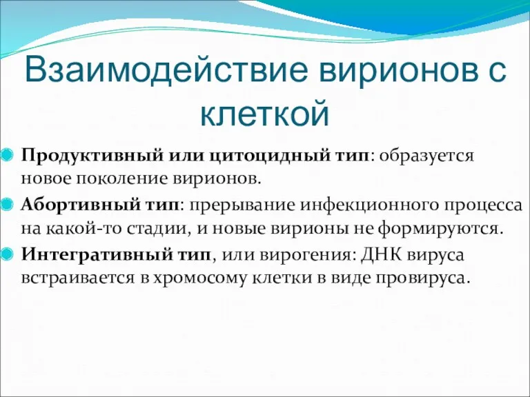 Взаимодействие вирионов с клеткой Продуктивный или цитоцидный тип: образуется новое