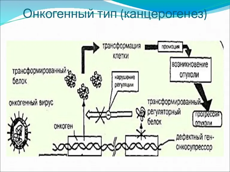 Онкогенный тип (канцерогенез)