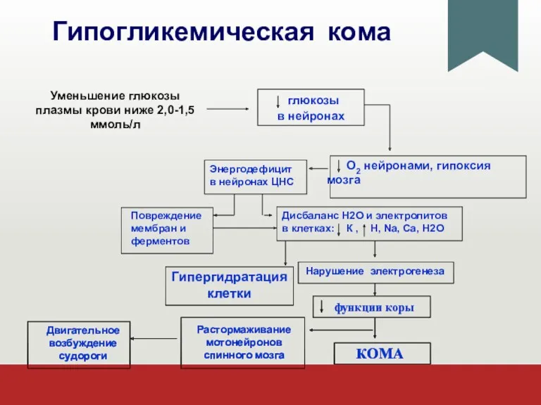 Гипогликемическая кома Уменьшение глюкозы плазмы крови ниже 2,0-1,5 ммоль/л глюкозы