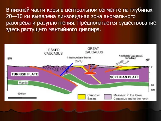 В нижней части коры в центральном сегменте на глубинах 20—30