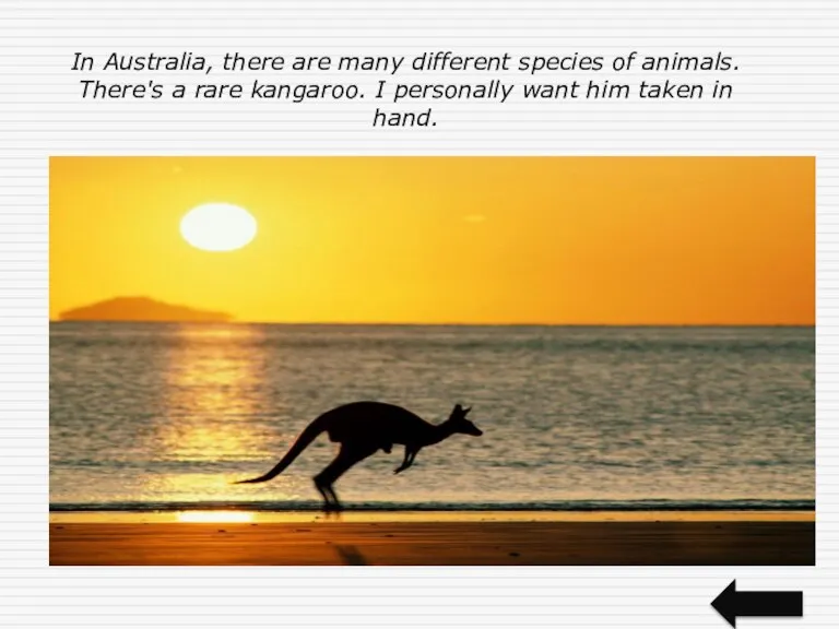 In Australia, there are many different species of animals. There's a rare kangaroo.