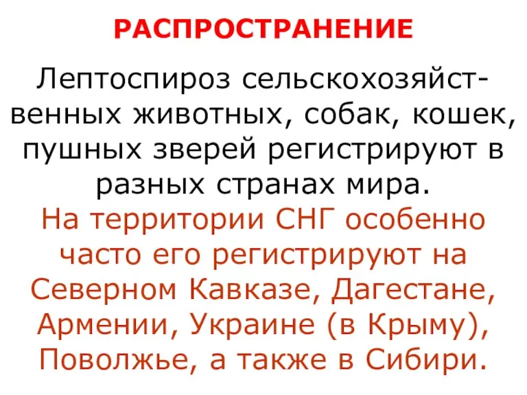 РАСПРОСТРАНЕНИЕ Лептоспироз сельскохозяйст-венных животных, собак, кошек, пушных зверей регистрируют в