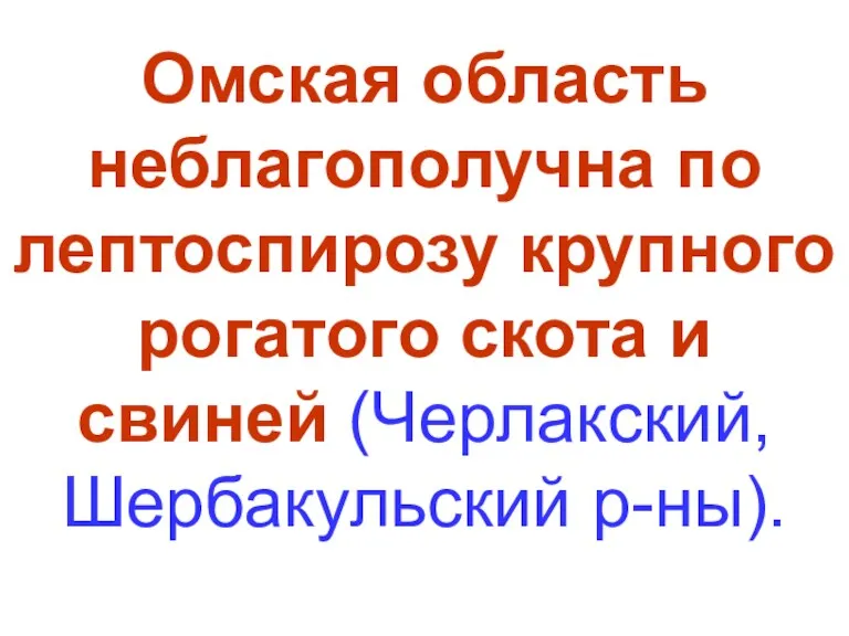 Омская область неблагополучна по лептоспирозу крупного рогатого скота и свиней (Черлакский, Шербакульский р-ны).