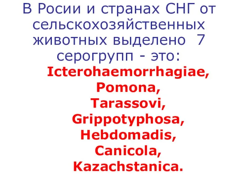 В Росии и странах СНГ от сельскохозяйственных животных выделено 7