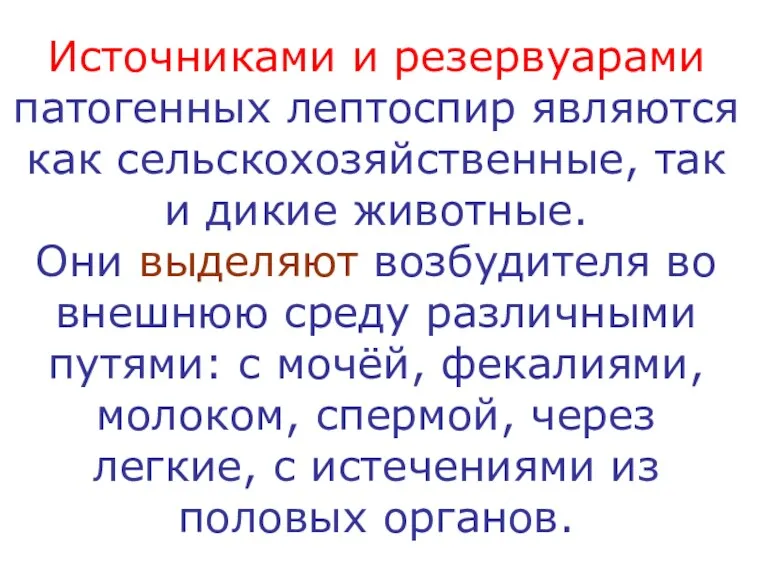 Источниками и резервуарами патогенных лептоспир являются как сельскохозяйственные, так и