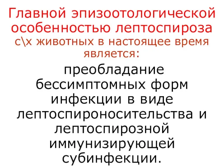 Главной эпизоотологической особенностью лептоспироза с\х животных в настоящее время является: