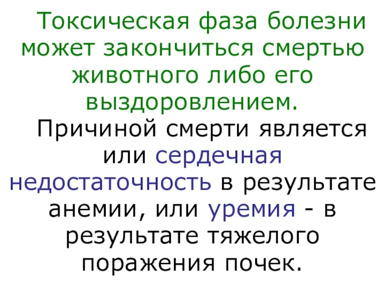 Токсическая фаза болезни может закончиться смертью животного либо его выздоровлением.