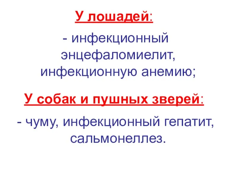 У лошадей: - инфекционный энцефаломиелит, инфекционную анемию; У собак и