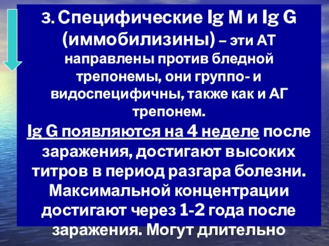 3. Специфические Ig М и Ig G (иммобилизины) – эти