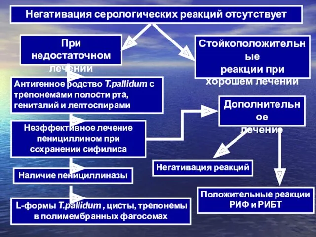 Негативация серологических реакций отсутствует При недостаточном лечении Стойкоположительные реакции при