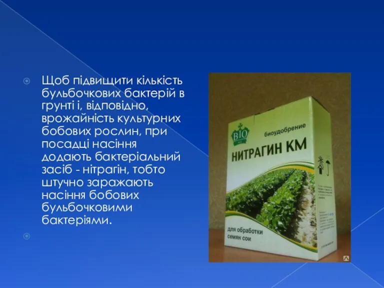 Щоб підвищити кількість бульбочкових бактерій в грунті і, відповідно, врожайність