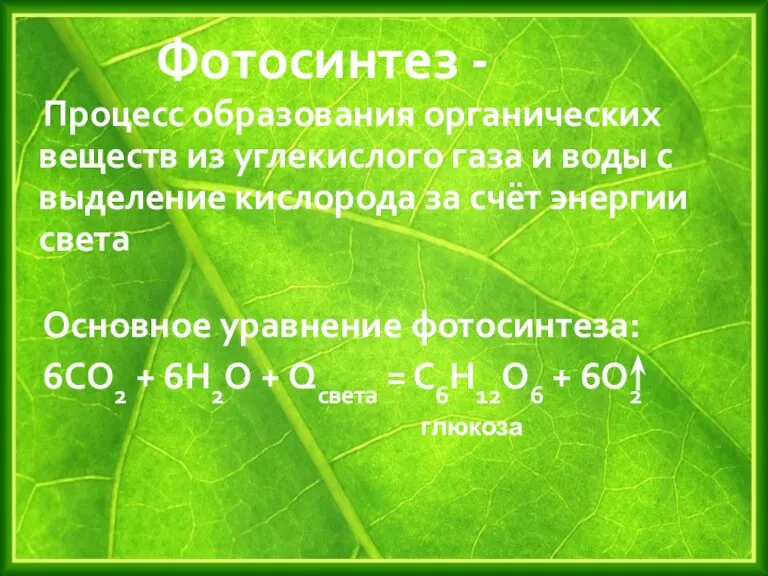 Фотосинтез - Процесс образования органических веществ из углекислого газа и