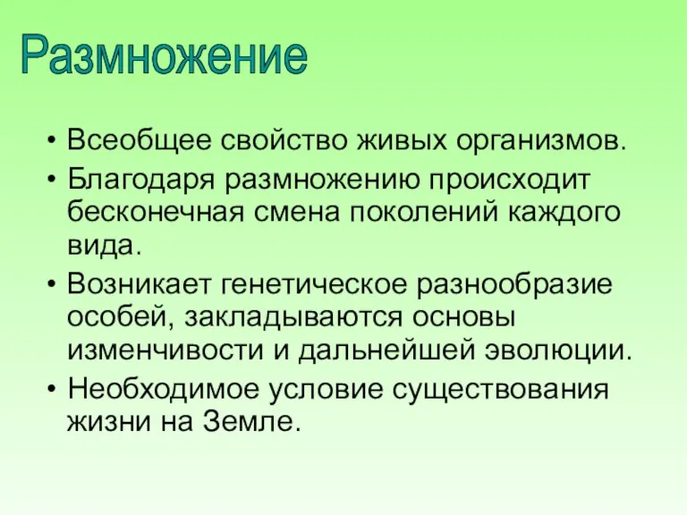 Размножение Всеобщее свойство живых организмов. Благодаря размножению происходит бесконечная смена