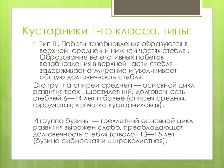 Кустарники 1-го класса, типы: Тип III. Побеги возобновления образуются в