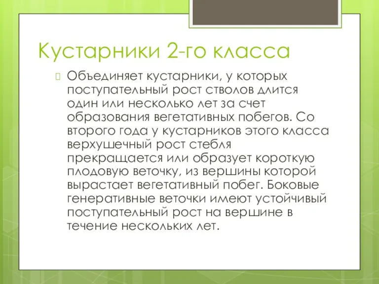 Кустарники 2-го класса Объединяет кустарники, у которых поступательный рост стволов