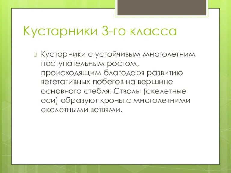 Кустарники 3-го класса Кустарники с устойчивым многолетним поступатель­ным ростом, происходящим