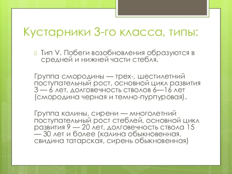 Кустарники 3-го класса, типы: Тип V. Побеги возобновления образуются в