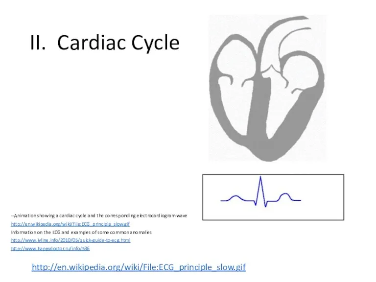 II. Cardiac Cycle http://en.wikipedia.org/wiki/File:ECG_principle_slow.gif --Animation showing a cardiac cycle and