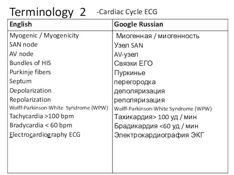 Terminology 2 -Cardiac Cycle ECG