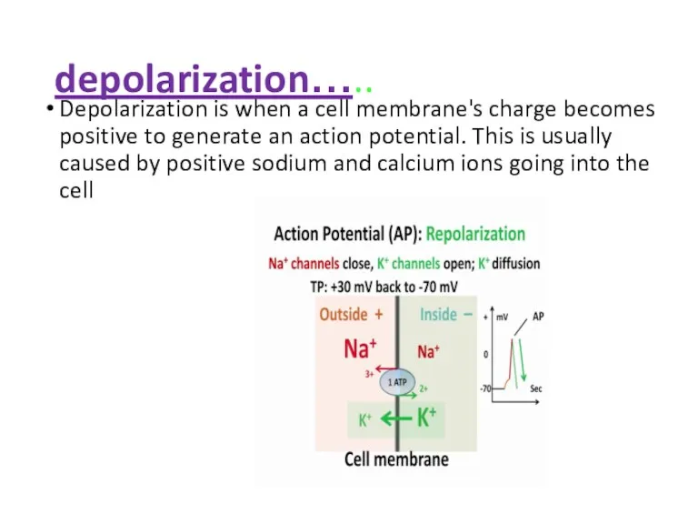 depolarization….. Depolarization is when a cell membrane's charge becomes positive