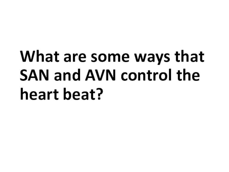 What are some ways that SAN and AVN control the heart beat?