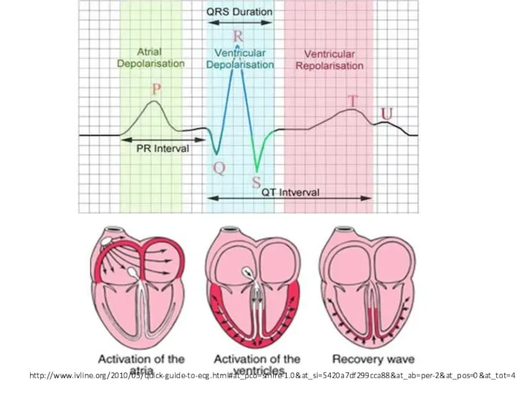 http://www.ivline.org/2010/05/quick-guide-to-ecg.html#at_pco=smlre-1.0&at_si=5420a7df299cca88&at_ab=per-2&at_pos=0&at_tot=4