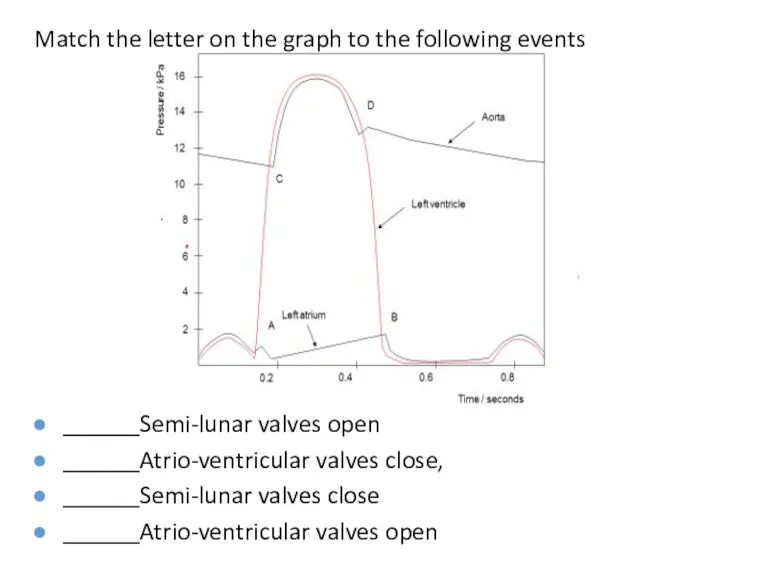 Match the letter on the graph to the following events