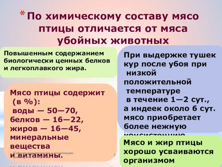 По химическому составу мясо птицы отличается от мяса убойных животных