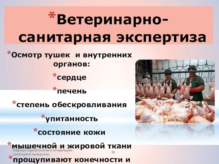 Ветеринарно-санитарная экспертиза Осмотр тушек и внутренних органов: сердце печень степень