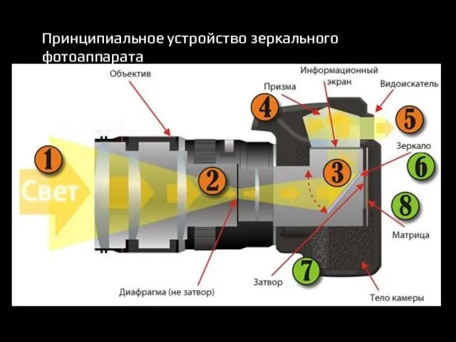 Принципиальное устройство зеркального фотоаппарата