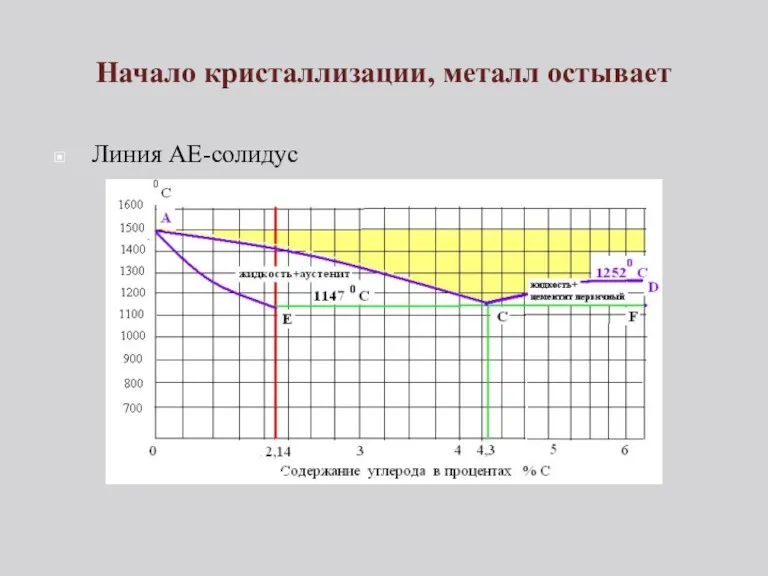 Начало кристаллизации, металл остывает Линия АЕ-солидус