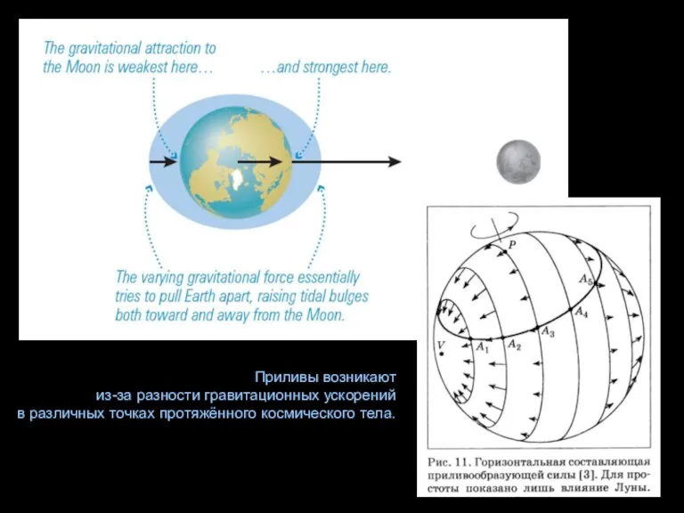 Приливы возникают из-за разности гравитационных ускорений в различных точках протяжённого космического тела.