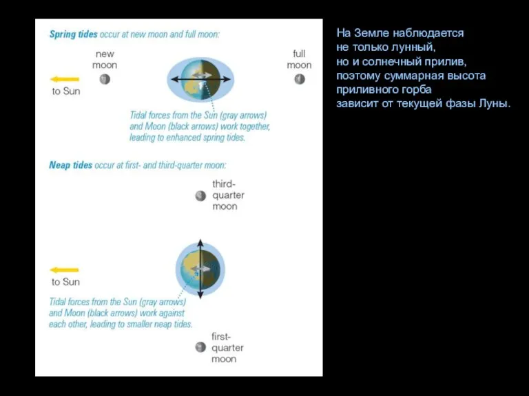 На Земле наблюдается не только лунный, но и солнечный прилив,