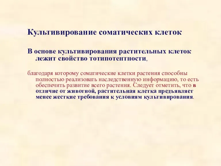 Культивирование соматических клеток В основе культивирования растительных клеток лежит свойство