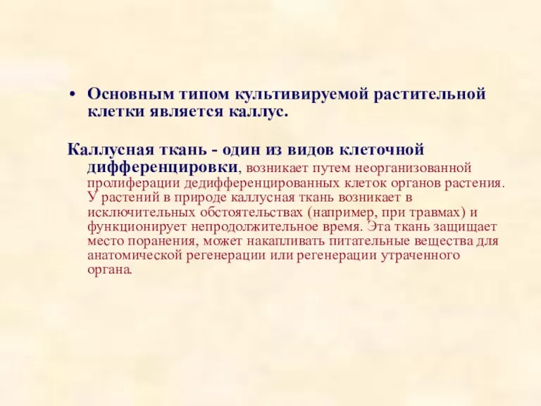 Основным типом культивируемой растительной клетки является каллус. Каллусная ткань -