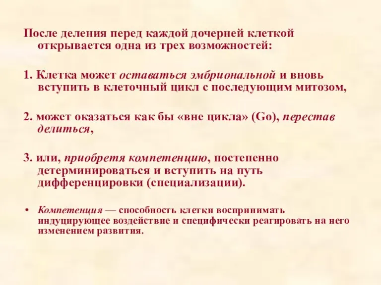 После деления перед каждой дочерней клеткой открывается одна из трех