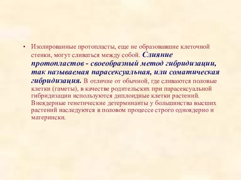 Изолированные протопласты, еще не образовавшие клеточной стенки, могут сливаться между